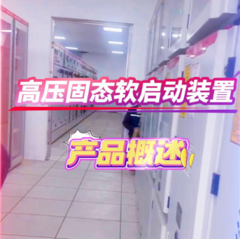 高壓固態(tài)軟起動(dòng)裝置 一體化高壓固態(tài)軟起動(dòng)柜